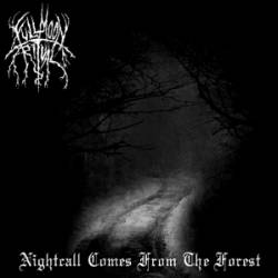 Nightcall Comes from the Forest